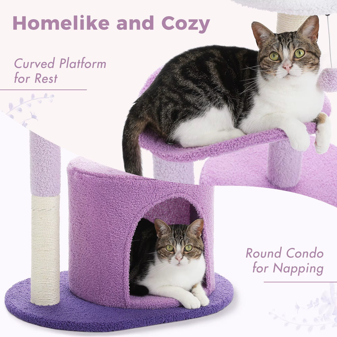 Cactus Cat Tree with Curved Perch Cozy Cat Condo Small Cat Tower with Removable Top Bed Cat Scratching Post for Indoor Cat Toys