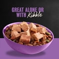 Cesar Classic Loaf in Sauce Grilled Chicken and Gravy Flavor Small Breed Wet Dog Food - 3.5Oz