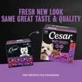 Cesar Classic Loaf in Sauce Grilled Chicken and Gravy Flavor Small Breed Wet Dog Food - 3.5Oz