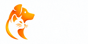 Buddys paw supplies