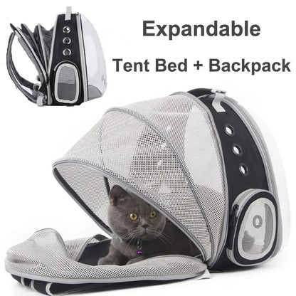 Cat Bag Expandable Cat Carrier Backpack Portable Pet Puppy Traveling Outdoor Backpack Transporter Conveyor Cats Bag Pet Supplie