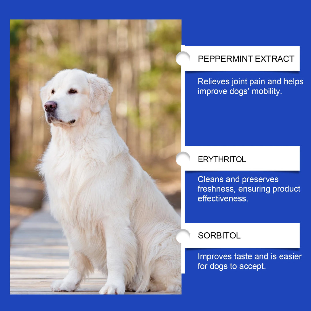 Urinary Tract Infection-Reducing Pet Dietary Supplement Prevents Disease Cares Pet's Discomfort Cat Nutritional Supplement
