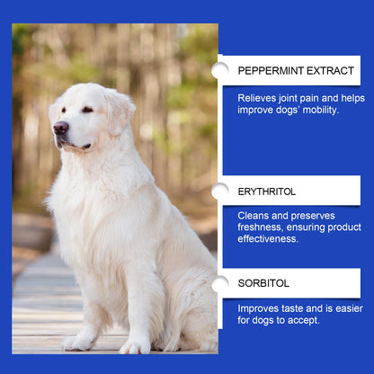 Urinary Tract Infection-Reducing Pet Dietary Supplement Prevents Disease Cares Pet's Discomfort Cat Nutritional Supplement