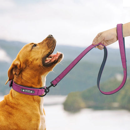Leather Dog Collar Leash Custom Durable Leather Pet Collars and Leashes Walking Leads Strap Cusomized for Small Medium Large Dog