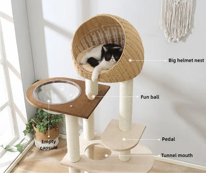 Solid Wood Cat Tree Large Pets Cat Sleeping Tree Transparent Cabin Kitten Tower Pet Toy Accessories Nap Scratching Post for Cats