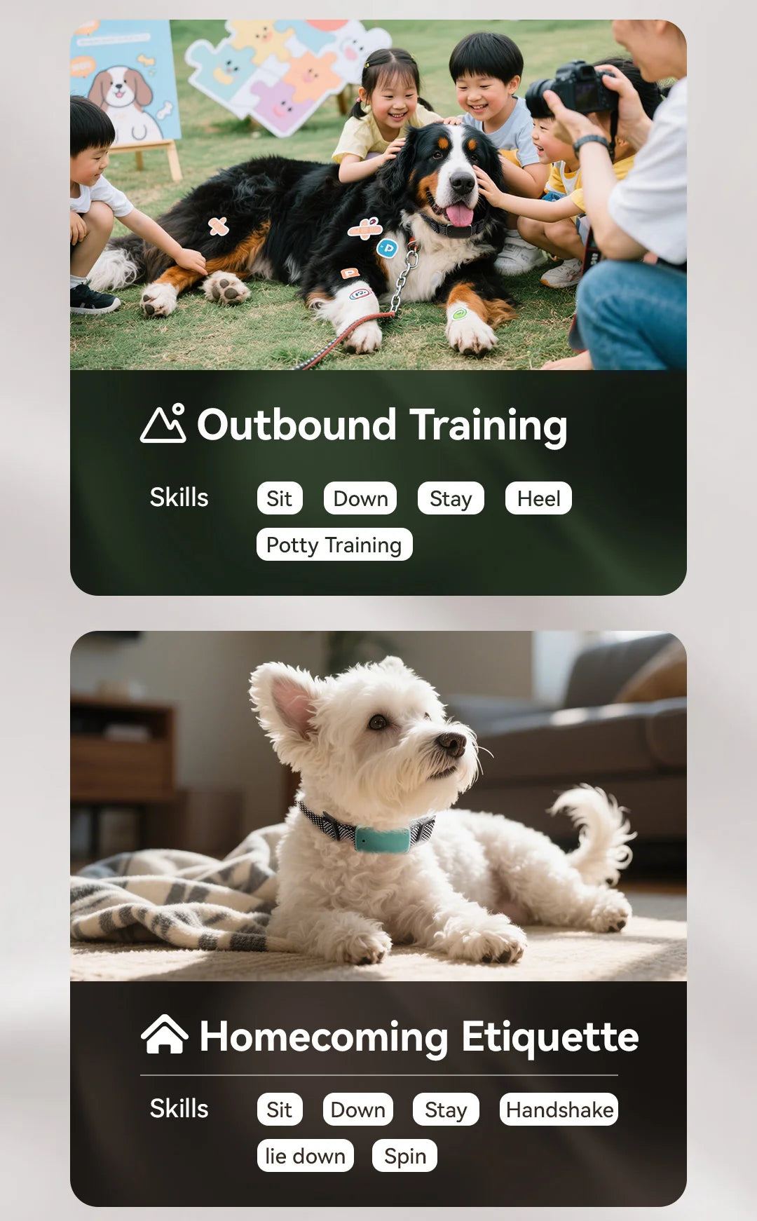 Dog Leashes Suitable for Dogs of All Sizes with Dog Training E-collar Remote Control and Automatic Training Leashes