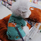 Clothing for Dog Suit Dogs Dress Dachshund Puppy Clothes Corgi Medium Hoodie Costume Pet Accessories Coat Small Breeds Summer