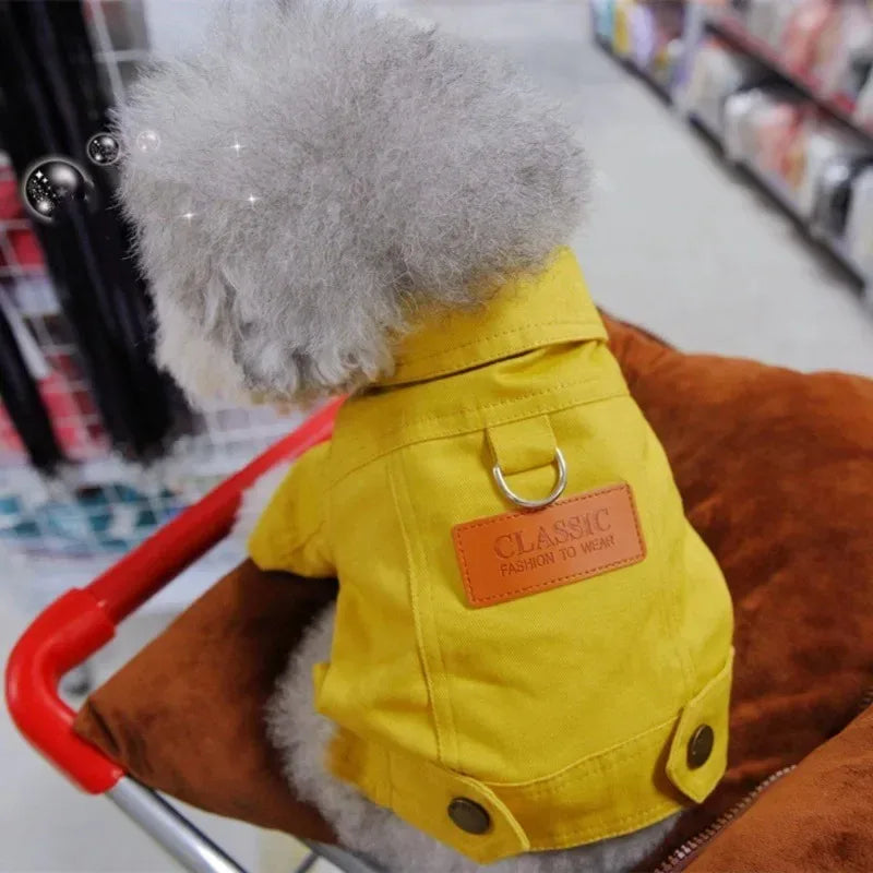 Clothing for Dog Suit Dogs Dress Dachshund Puppy Clothes Corgi Medium Hoodie Costume Pet Accessories Coat Small Breeds Summer