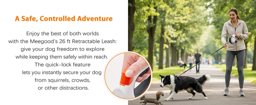 5m 8m 50kg Dog Leash Retractable Roulette Collar for Small Big Dogs Accessories Adjustable Walking Hiking French Bulldog Rope