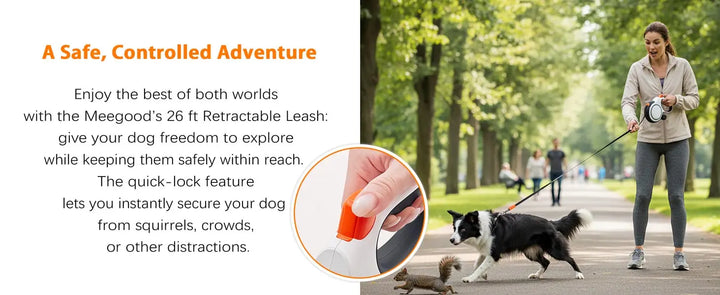 5m 8m 50kg Dog Leash Retractable Roulette Collar for Small Big Dogs Accessories Adjustable Walking Hiking French Bulldog Rope