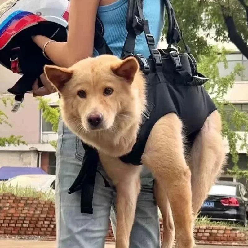 Pet Travel Backpack Shoulder Carrier Outdoor Hiking Walk Durable Comfortable Oxford Fabric Dog Carrying Bag Strap Fixation Bag