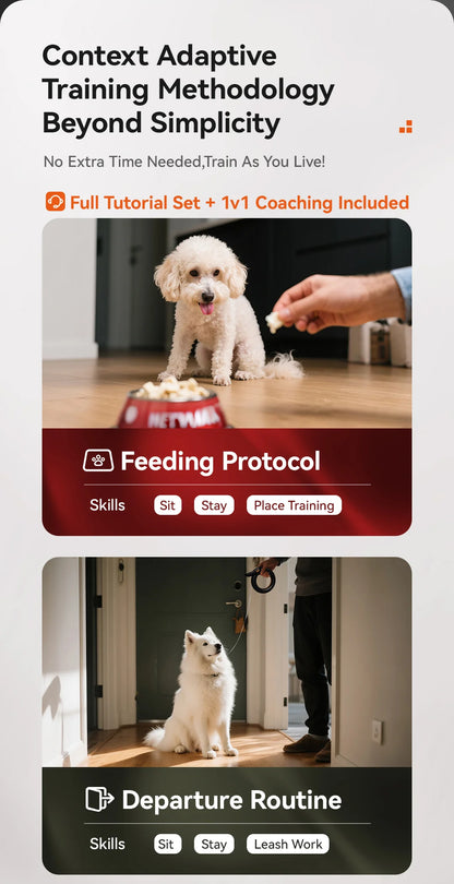 Dog Leashes Suitable for Dogs of All Sizes with Dog Training E-collar Remote Control and Automatic Training Leashes