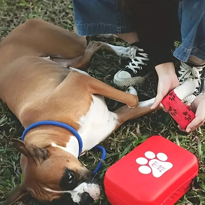 Pet First Aid Kit: Contains emergency supplies and an emergency blanket, suitable for hiking, camping, and backpacking.