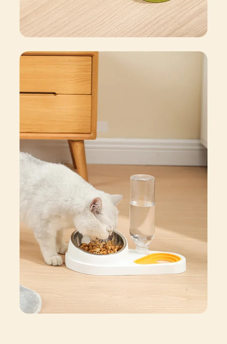 Double Bowl Pet Feeder with Anti-Tip Design + Auto-Refill Water Dispenser for Dogs & Cats