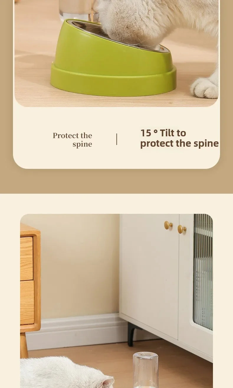 Double Bowl Pet Feeder with Anti-Tip Design + Auto-Refill Water Dispenser for Dogs & Cats