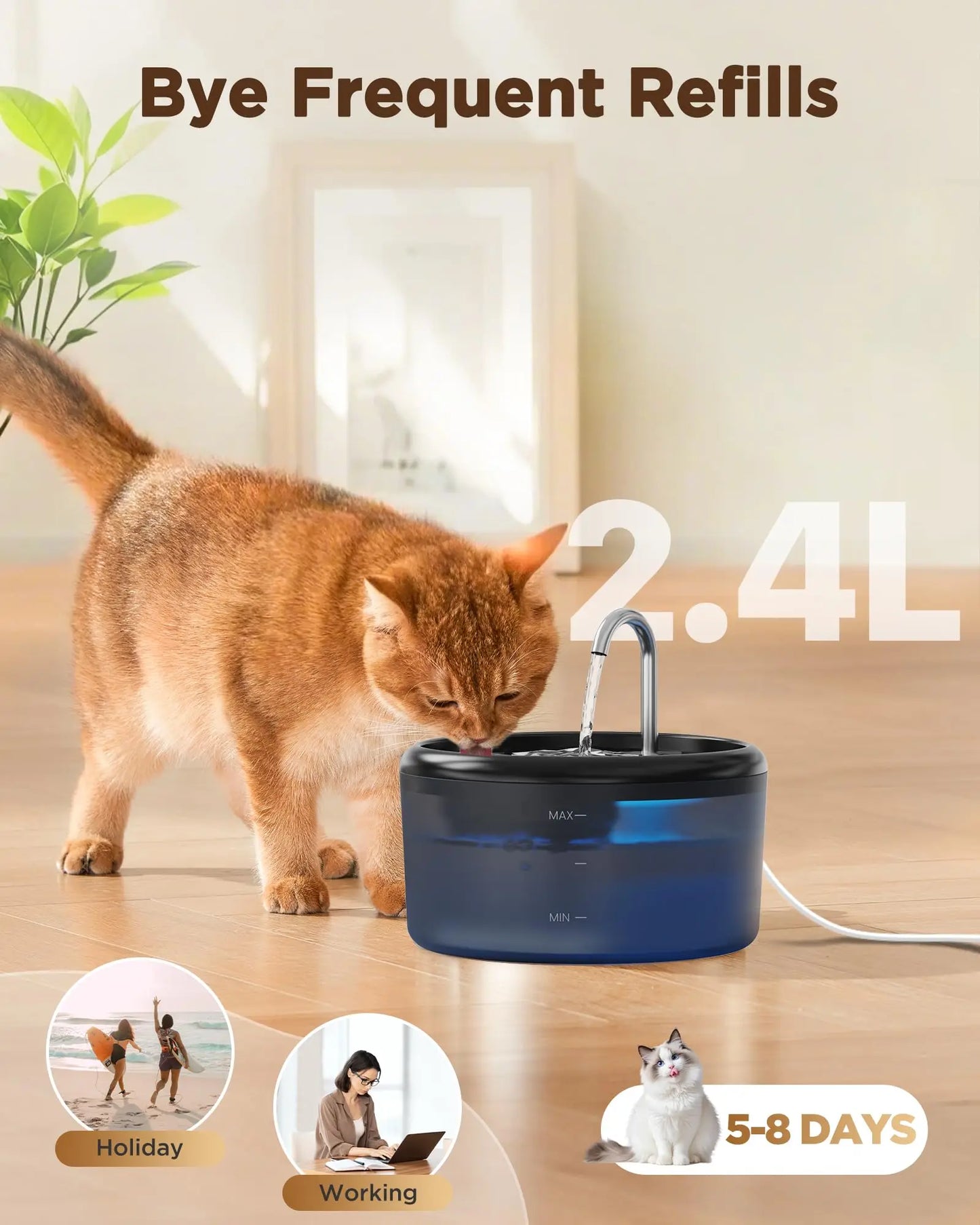Automatic Water Fountain:Pet Water Fountain Pet Water Feeder Indoor Cat/Dog Drinking Bowl Water Dispenser Silent( No 5V 1A Plug)