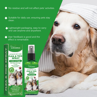 YEGBONG Flea Tick Spray Effective Insect Repellent Eliminate Odor Long Lasting Protection Gentle Ingredients Pet Flea Treatment