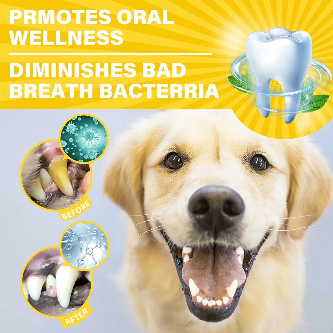 Dog Cat Dental Care Kit Milk Toothpaste Toothbrush Deep Clean Freshens Breath Reduces Plaque Tartar Oral Care For All Breeds
