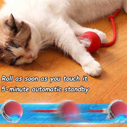 Pet products
