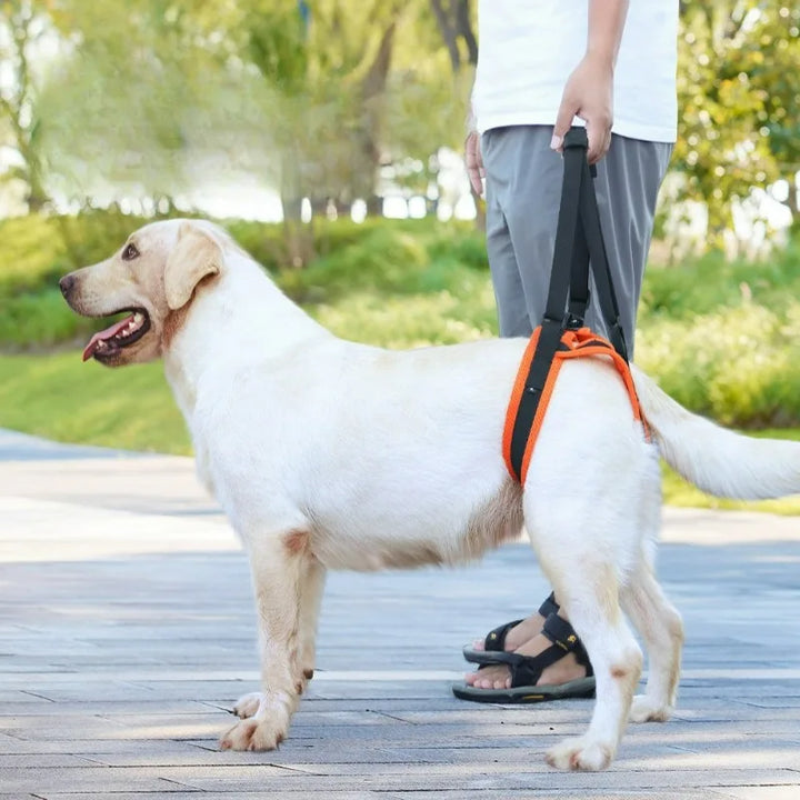 Pet Leashes Walking AIDS for Disabled and Elderly Dogs Adjustable Hind Leg Lifting Assistance Belts Cat Leash Pet Accessories