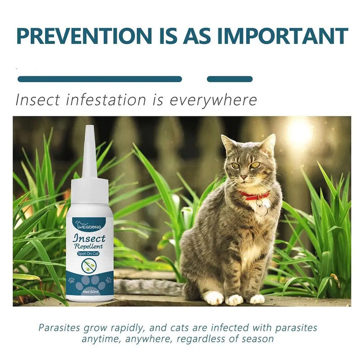 Pet Flea Killer Drop Anti-Fleas Ticks Lice Mite Removal Relieve Itching for Cats Dogs Ringworm Treatment Pet Insect Removal Drop
