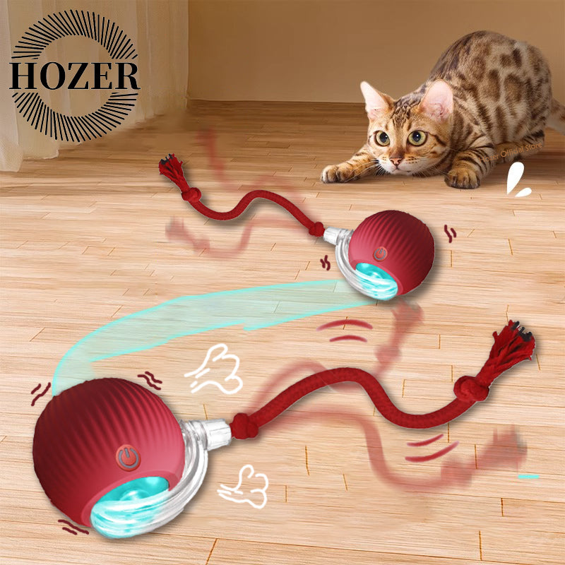 Pet products