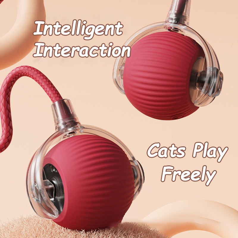 Pet products