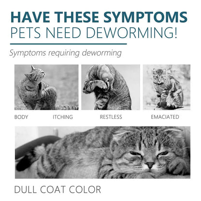 Pet Flea Killer Drop Anti-Fleas Ticks Lice Mite Removal Relieve Itching for Cats Dogs Ringworm Treatment Pet Insect Removal Drop