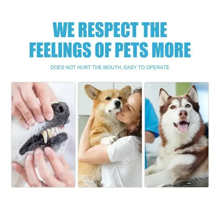 Pet Toothpaste for Dogs & Cats, Edible Oral Care, Fresh Breath, Tartar & Plaque Removal, Teeth Cleaning Pet Products