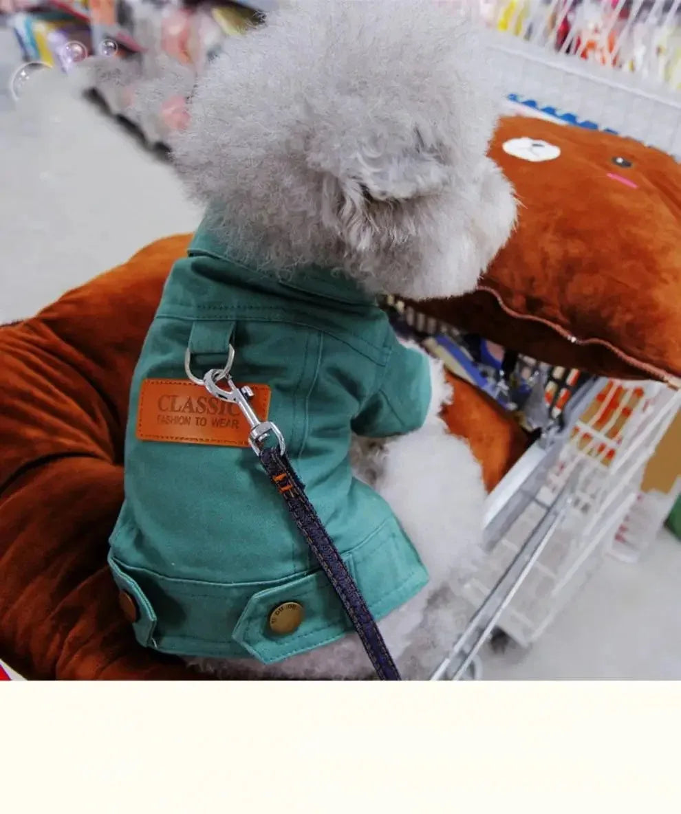 Clothing for Dog Suit Dogs Dress Dachshund Puppy Clothes Corgi Medium Hoodie Costume Pet Accessories Coat Small Breeds Summer