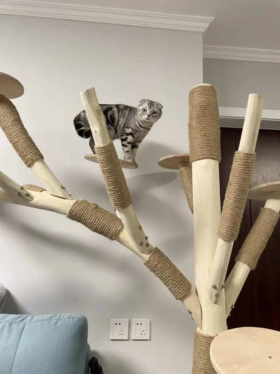 Nature Tree Cat Climbing Small Family Large Tree Cat Climbing Pet Tree House Indoor Habitat Pet Training Supplies Best GIft