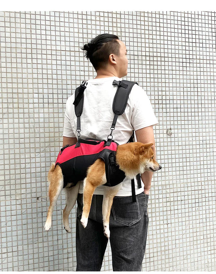Pet Travel Backpack Shoulder Carrier Outdoor Hiking Walk Durable Comfortable Oxford Fabric Dog Carrying Bag Strap Fixation Bag