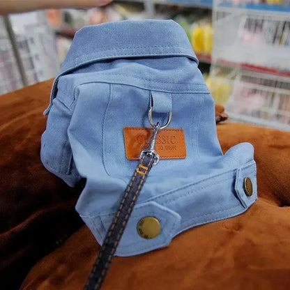 Clothing for Dog Suit Dogs Dress Dachshund Puppy Clothes Corgi Medium Hoodie Costume Pet Accessories Coat Small Breeds Summer