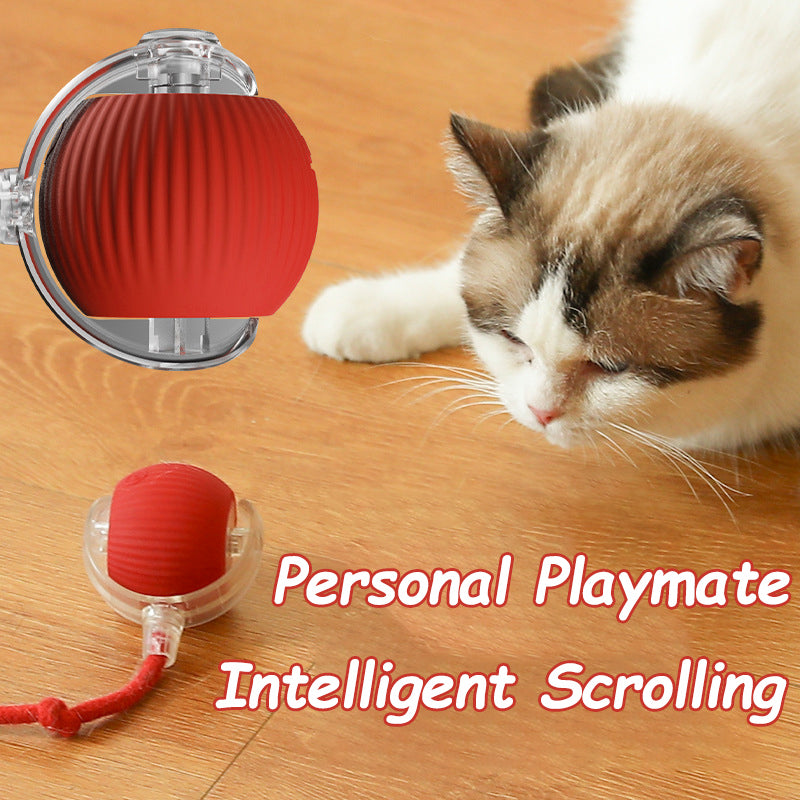 Pet products