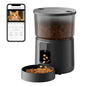 Camera Pet Feeder Timing Smart Automatic Feeder For Cats Dog Tuya WIFI APP Video Intelligent Dry Food Dispenser Fountain Bowl