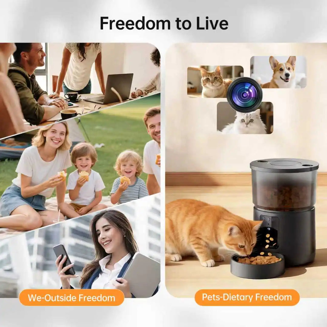 Camera Pet Feeder Timing Smart Automatic Feeder For Cats Dog Tuya WIFI APP Video Intelligent Dry Food Dispenser Fountain Bowl