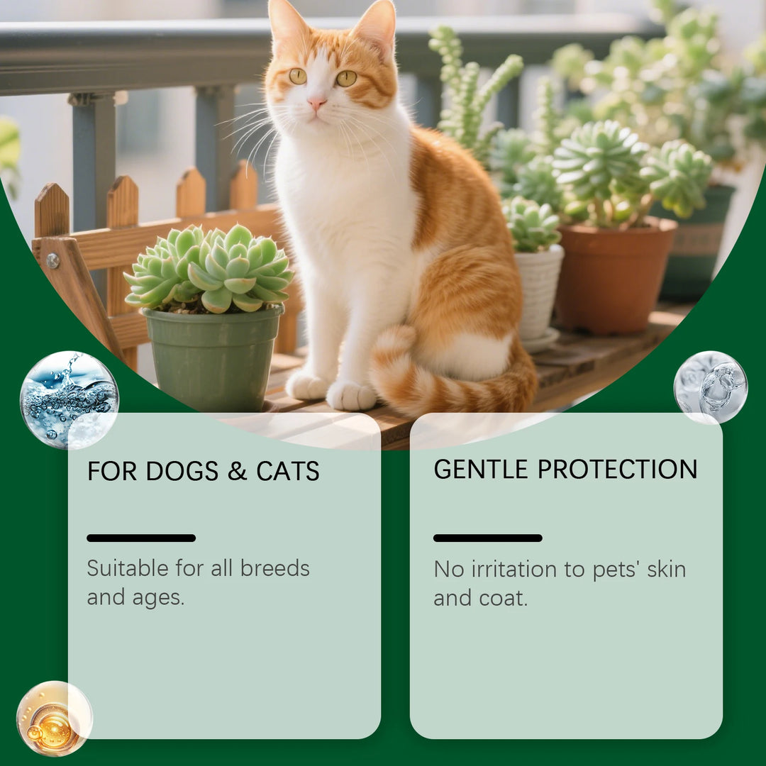 Dog Cat Flea Tick Repellent Spray Fur Protection Pet Parasite Control Solution Pets Soothing Care Natural Pets Insect Anti Spray