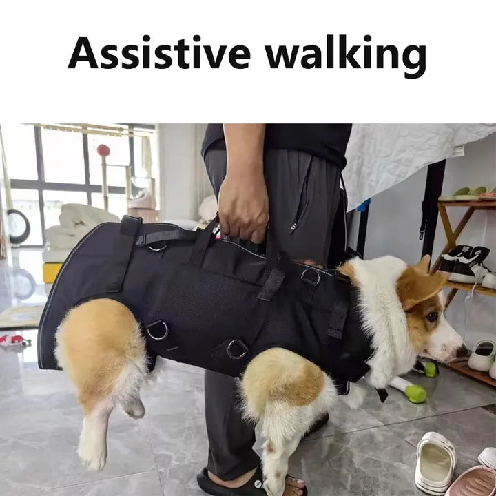 Pet Travel Backpack Shoulder Carrier Outdoor Hiking Walk Durable Comfortable Oxford Fabric Dog Carrying Bag Strap Fixation Bag