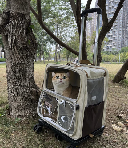 Rolling Cat Carrier with Wheels for Large Cats Small Dogs Up To 10kg  Ideal for Travel Walking and Camping Cat Handbag Dog Bag