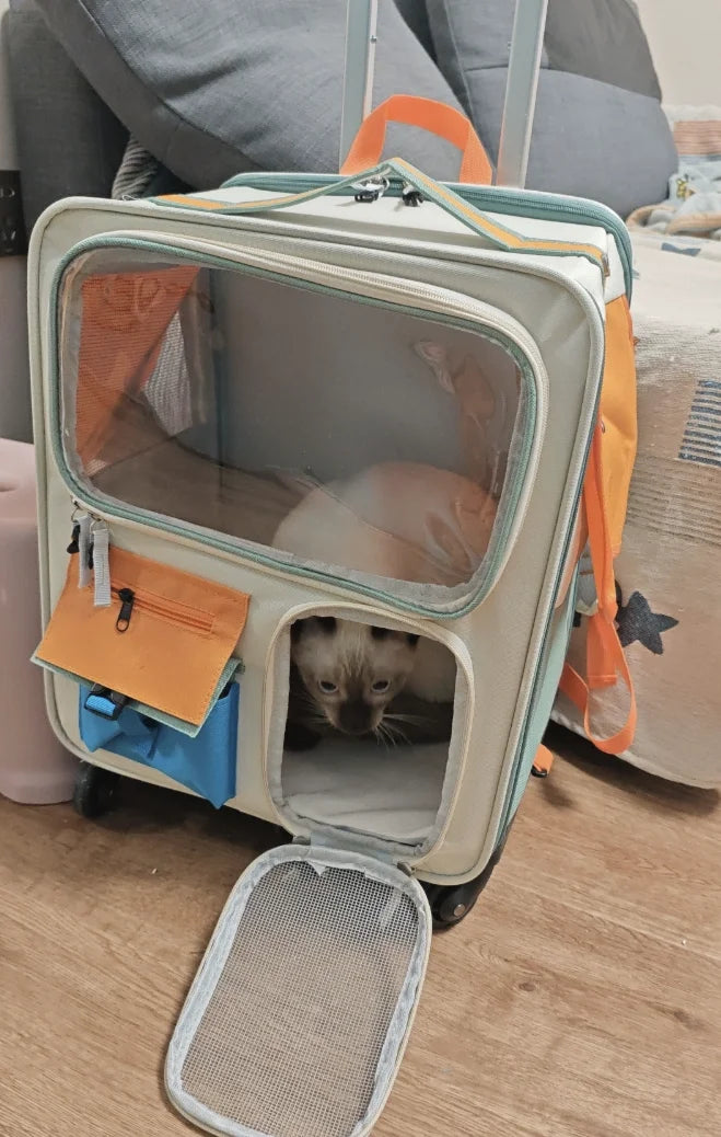 Rolling Cat Carrier with Wheels for Large Cats Small Dogs Up To 10kg  Ideal for Travel Walking and Camping Cat Handbag Dog Bag