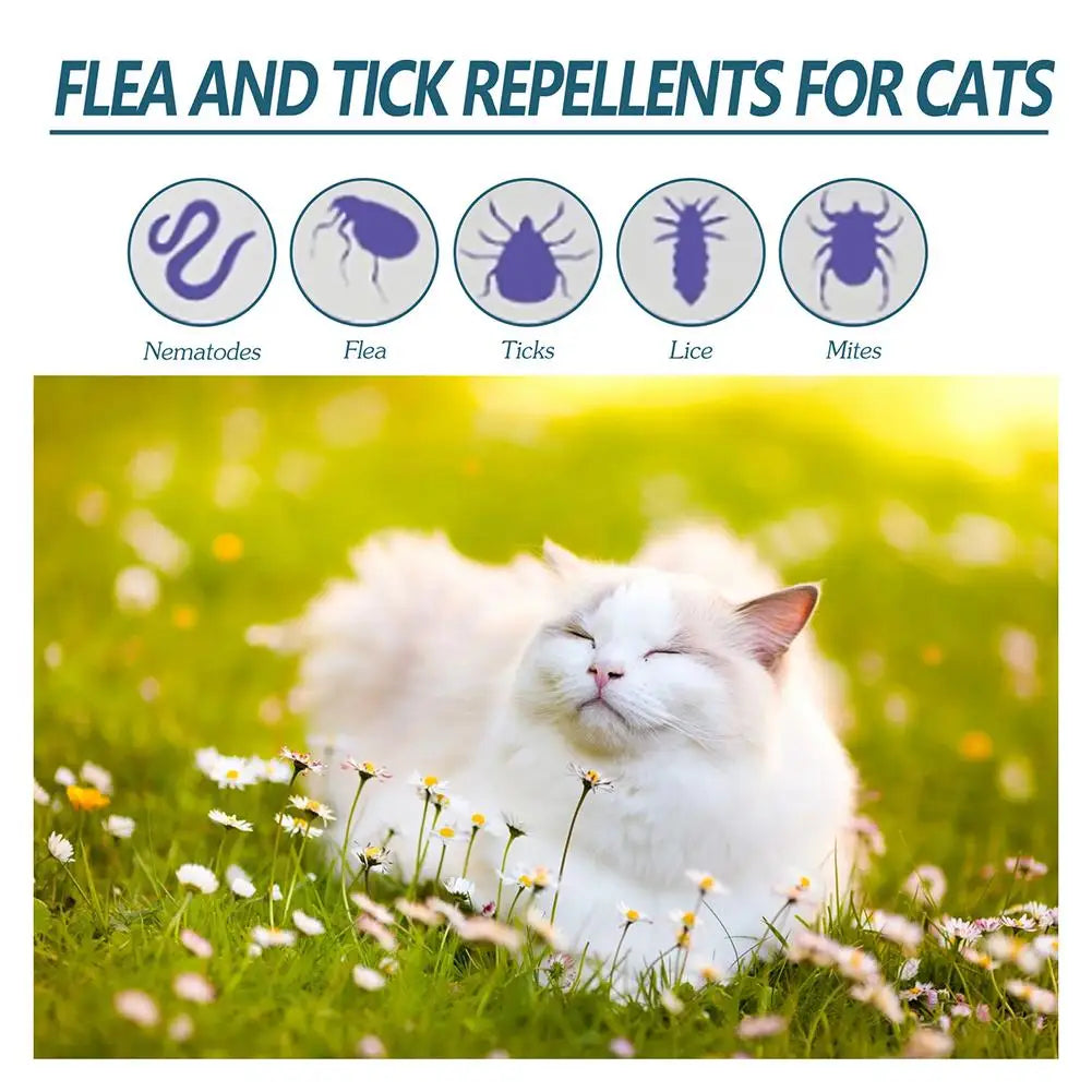 Pet Flea Killer Drop Anti-Fleas Ticks Lice Mite Removal Relieve Itching for Cats Dogs Ringworm Treatment Pet Insect Removal Drop