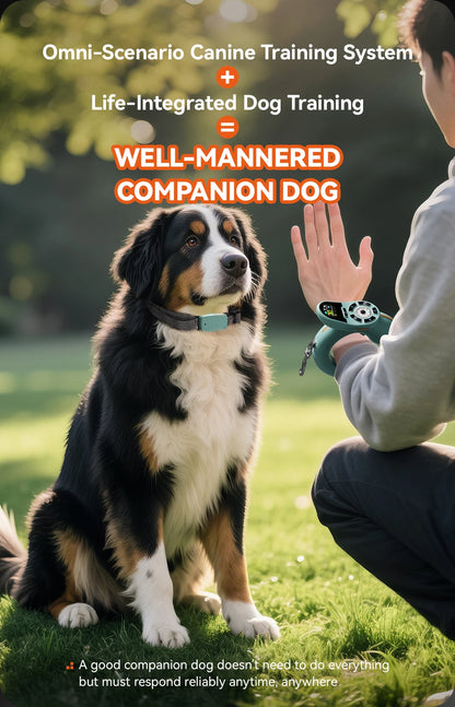 Dog Leashes Suitable for Dogs of All Sizes with Dog Training E-collar Remote Control and Automatic Training Leashes