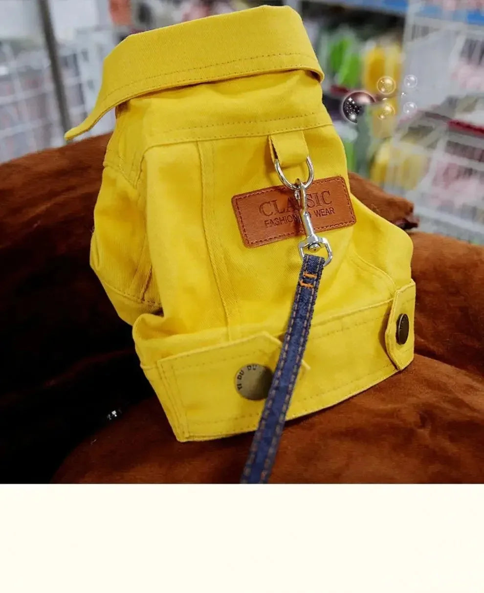Clothing for Dog Suit Dogs Dress Dachshund Puppy Clothes Corgi Medium Hoodie Costume Pet Accessories Coat Small Breeds Summer