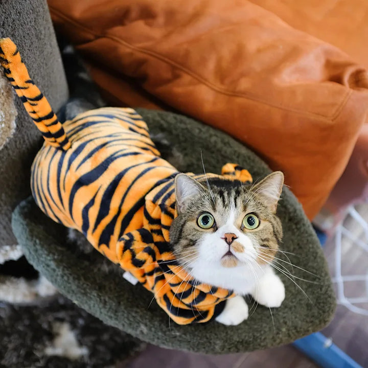 Pet Dog Clothes Soft Warm Fleece Dogs Jumpsuits Pet Clothing for Small Dogs Puppy Cats Hoodies Chihuahua Yorkshire Costume Coats