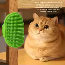 Outdoor pet supplies