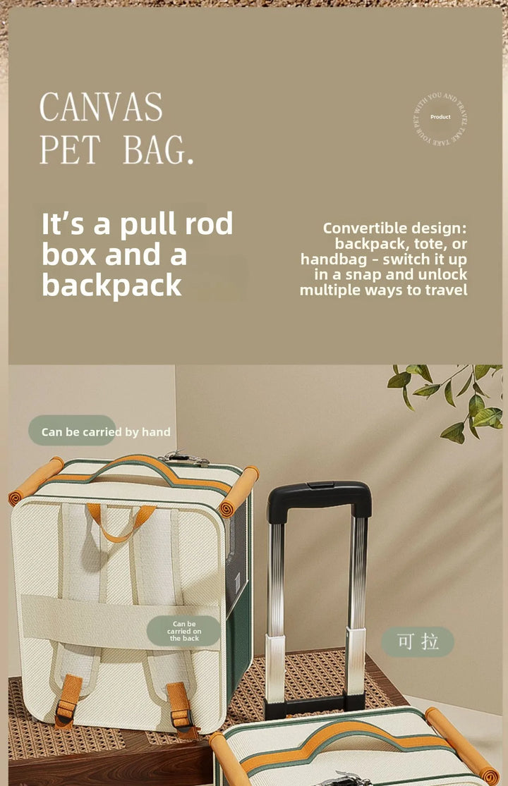 Rolling Cat Carrier with Wheels for Large Cats Small Dogs Up To 10kg  Ideal for Travel Walking and Camping Cat Handbag Dog Bag