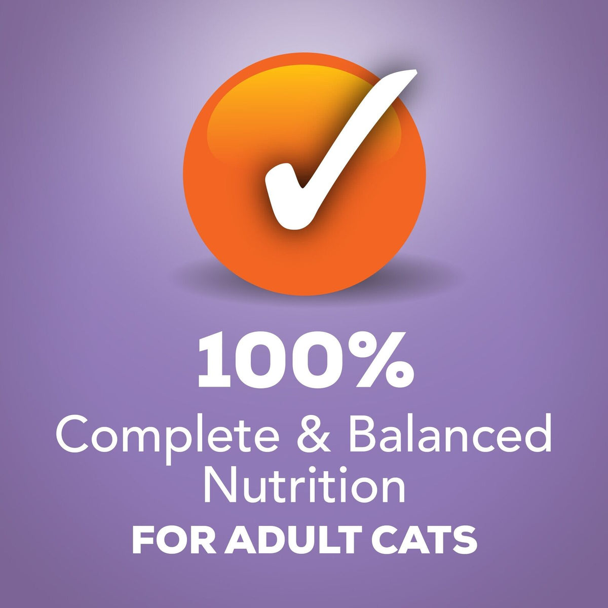 Purina Shreds Turkey and Cheese Dinner in Gravy High Protein Wet Cat Food - (...